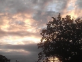 2014-08-12 06.41.23