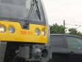 IMG_0261 (Large)