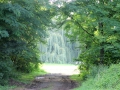 IMG_0706 (Large)