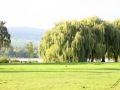 IMG_0707 (Large)