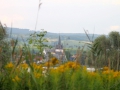 IMG_0722 (Large)