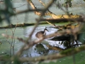 IMG_0730 (Large)