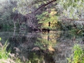 IMG_0732 (Large)