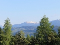 IMG_1380 (Large)
