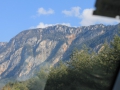 IMG_1384 (Large)