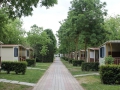 IMG_1390 (Large)