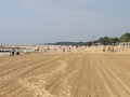 IMG_1427 (Large)