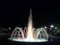 IMG_1454 (Large)