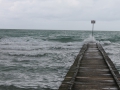 IMG_1510 (Large)