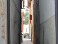 IMG_1573 (Large)
