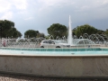 IMG_1612 (Large)