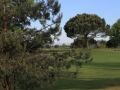IMG_1670 (Large)