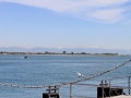 IMG_1681 (Large)