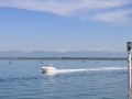 IMG_1687 (Large)