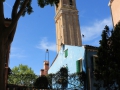 IMG_1724 (Large)