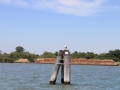IMG_1747 (Large)