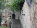 IMG_0561 (Large)