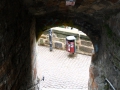 IMG_0562 (Large)