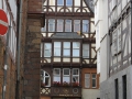 IMG_0564 (Large)