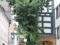 IMG_0565 (Large)