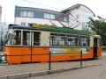 IMG_0584 (Large)