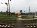 IMG_0685 (Large)