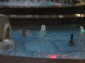 nwz-001