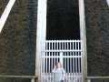 IMG_2953 (Large)