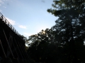 IMG_2957 (Large)
