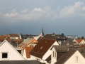 IMG_2979 (Large)