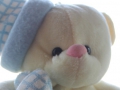 Timmy 001