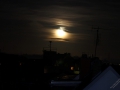 IMG_2346 (Large)